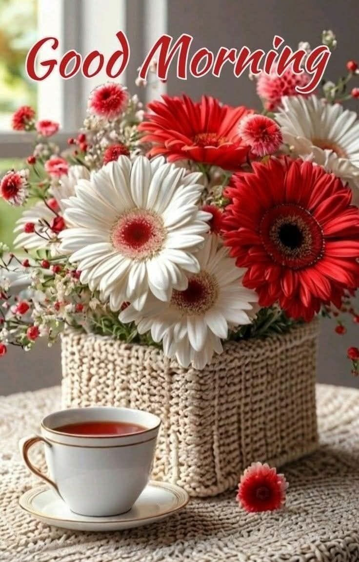 Good morning pic new hd for whatsapp (5)