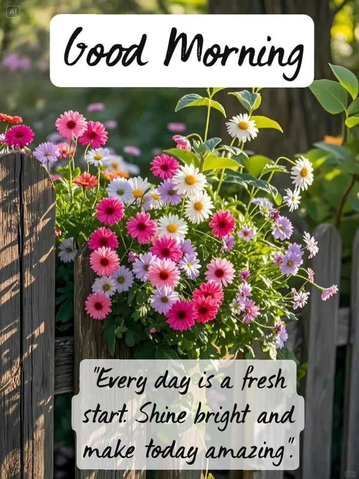 Good morning picture quotes