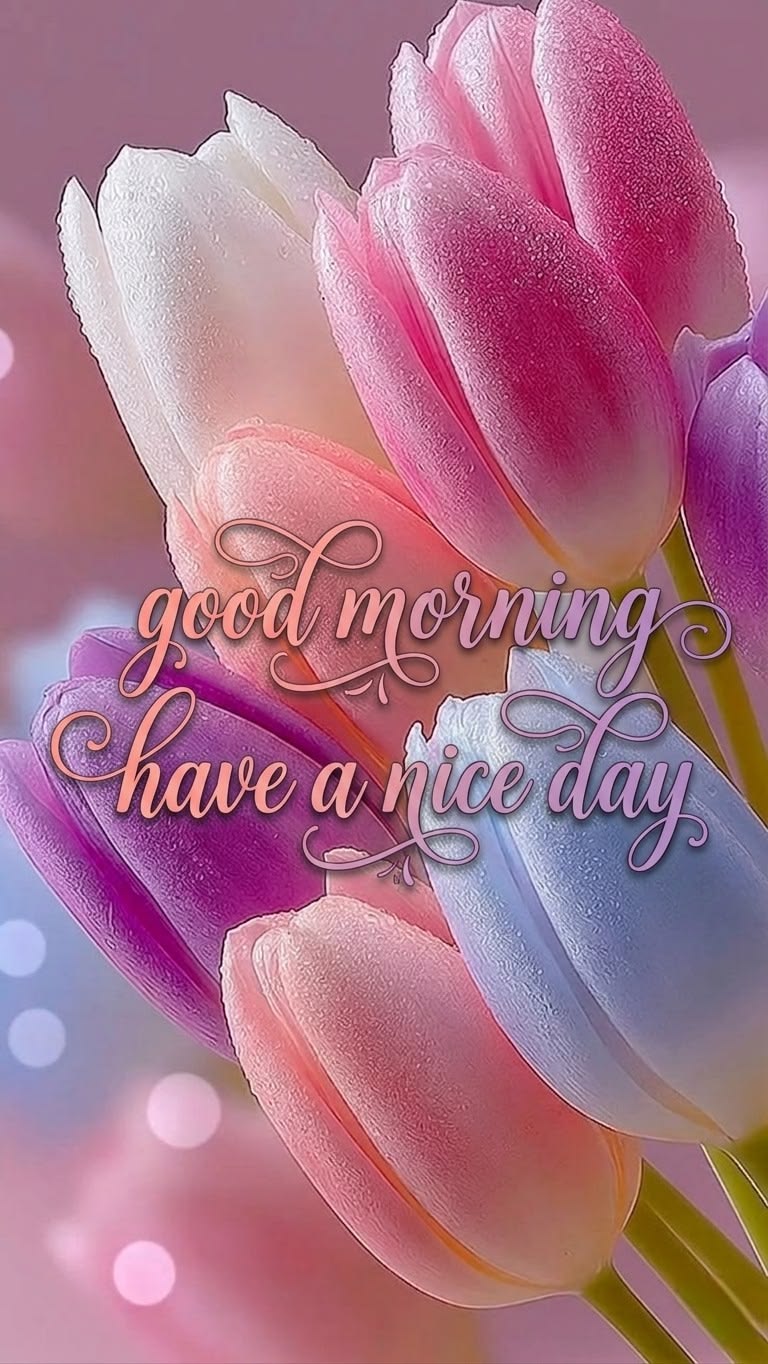 Good morning pictures new