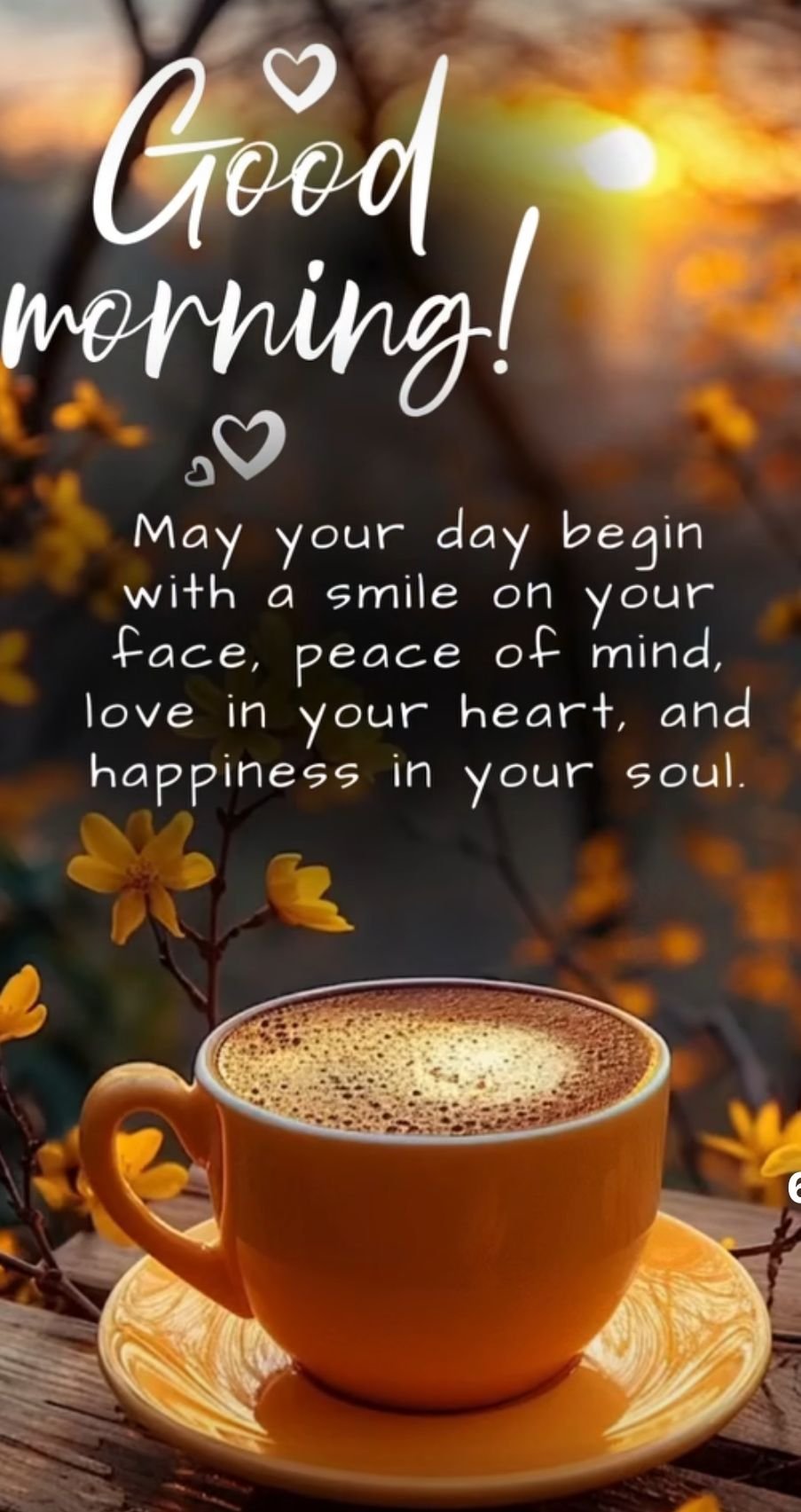 Good morning quotes (1)