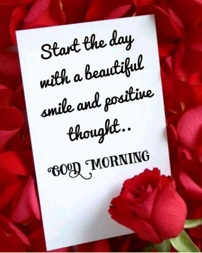 Good morning quotes (6)