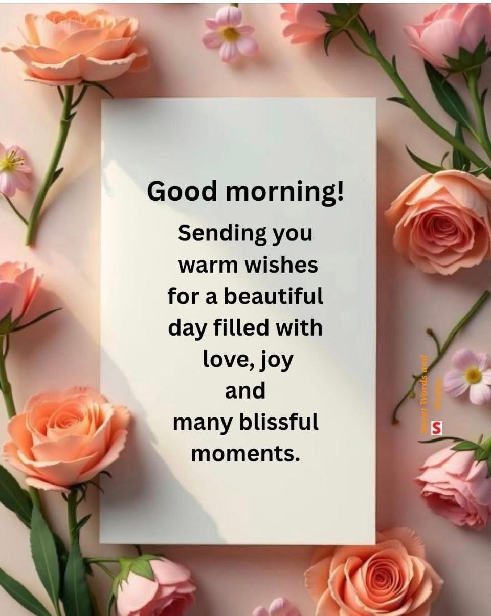 Good morning quotes and images