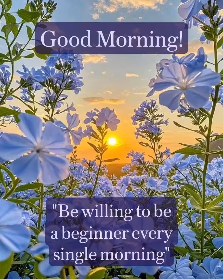 Good morning quotes for motivation