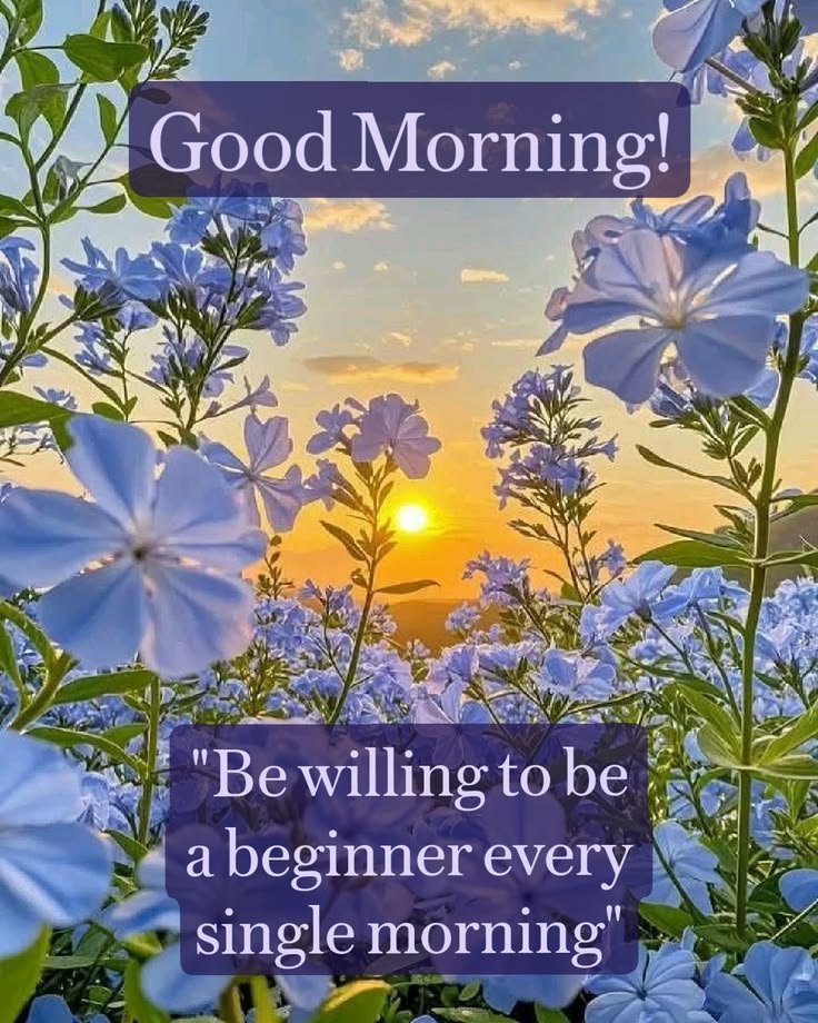 Good morning quotes for motivation