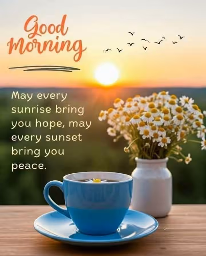 Good morning quotes images