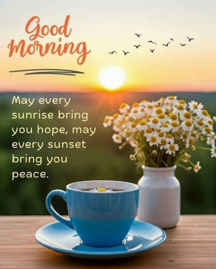 Good morning quotes images