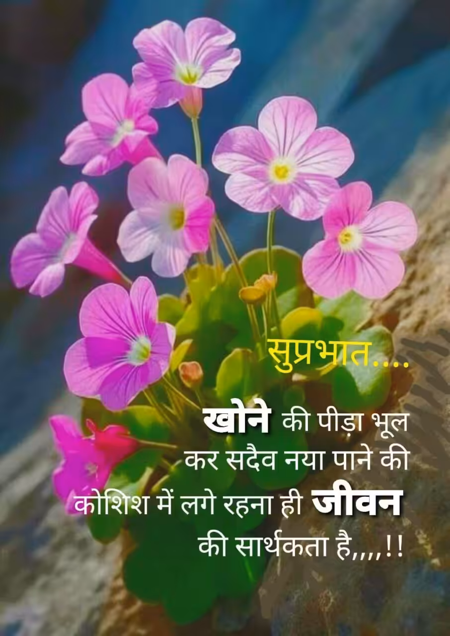 Good Morning Quotes In Hindi