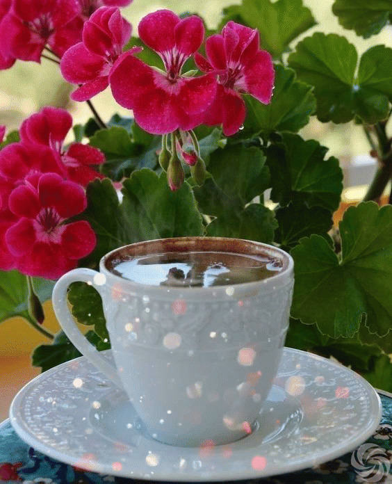 Good Morning Rainy Day Gif