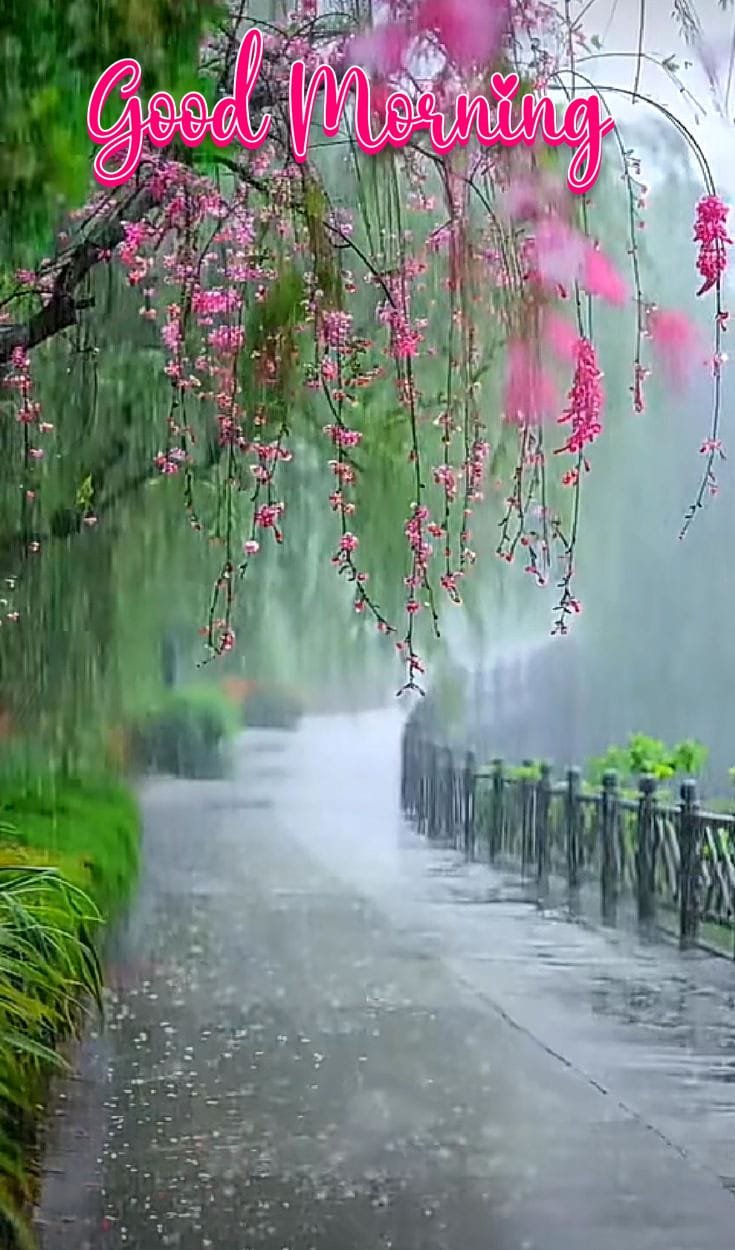Good morning rainy day image