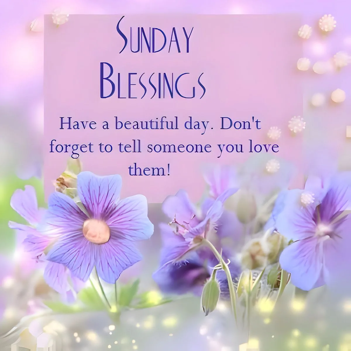 Good morning sunday images for whatsapp