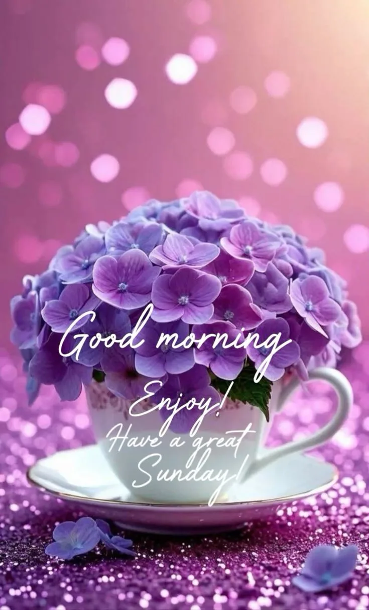 Good morning sunday images for whatsapp