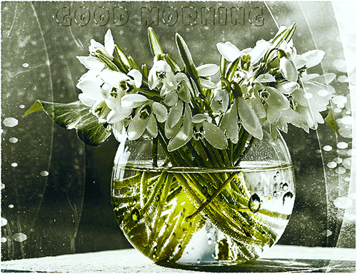 Good Morning Sweetheart Gif Images