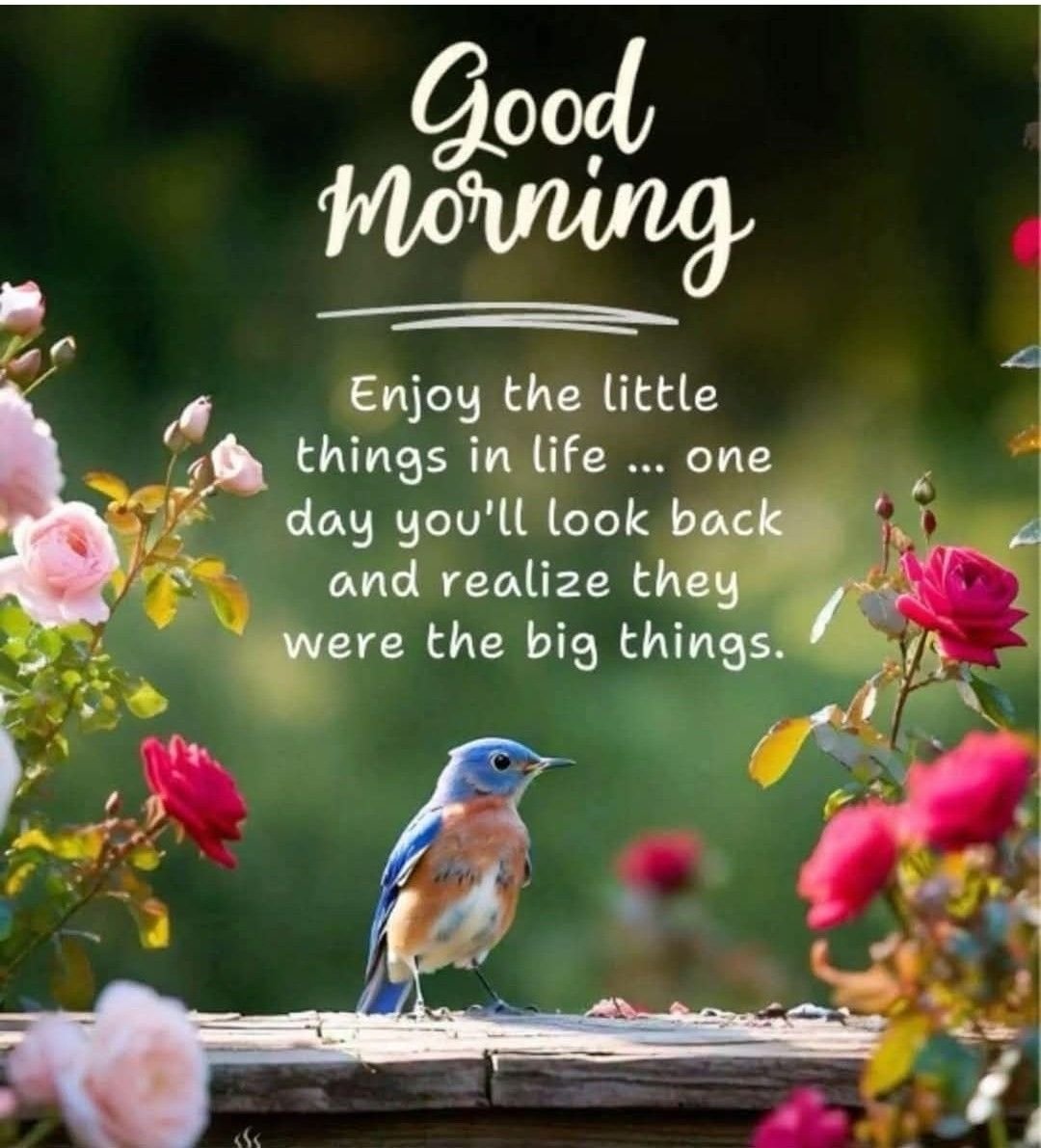 Good morning uplifting quotes