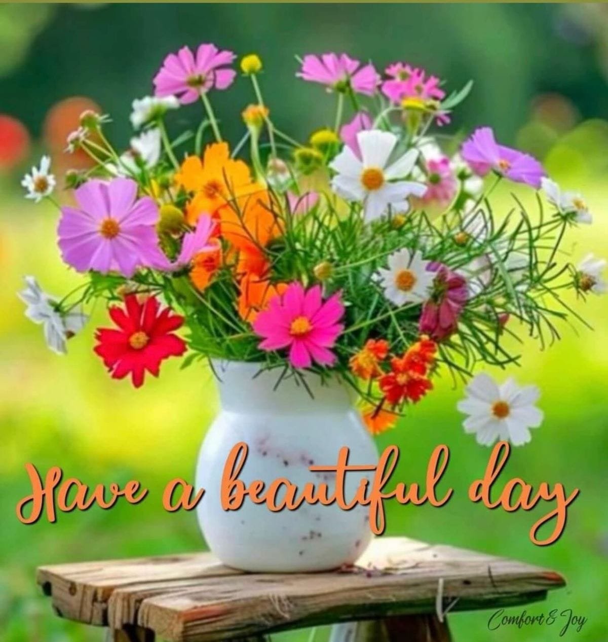 Good morning wishes images (1)