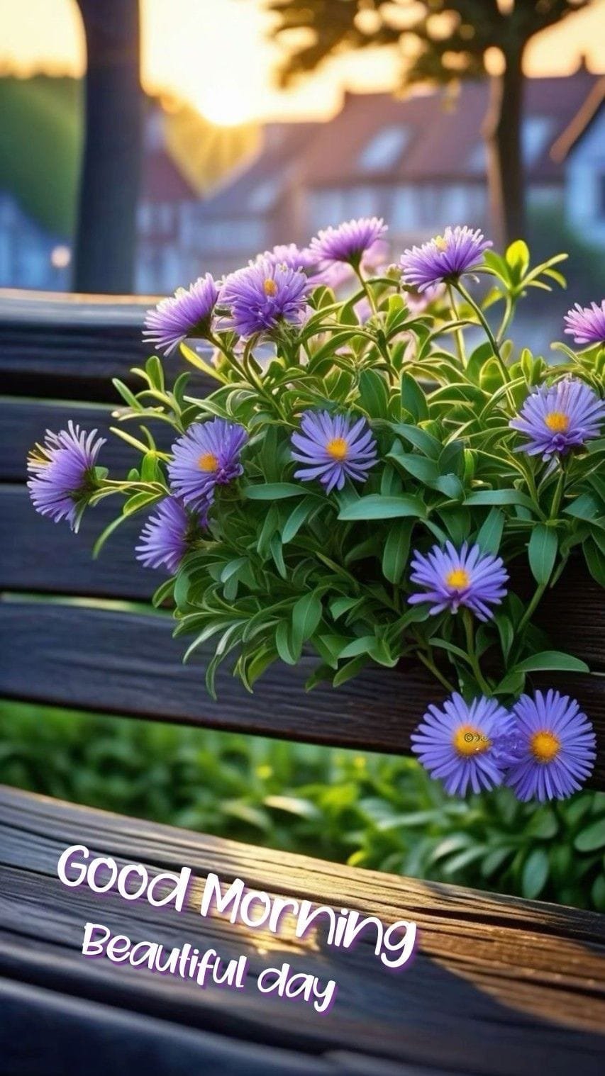 Good morning wishes images (15)