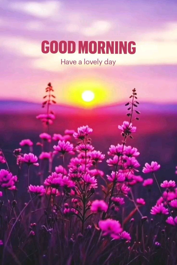 Good morning wishes images (16)