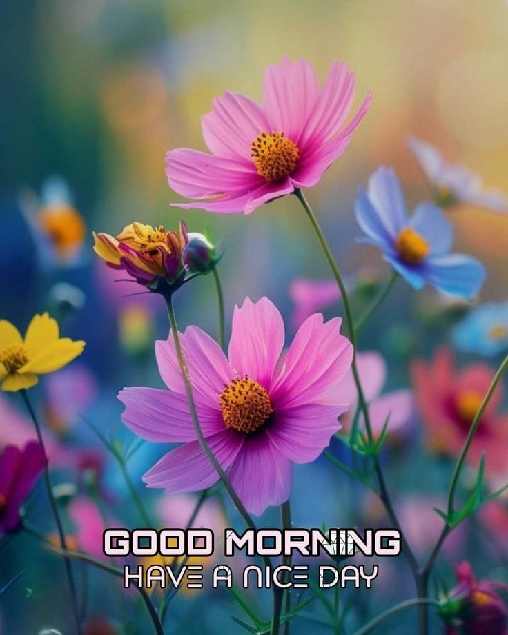 Good morning wishes images (24)