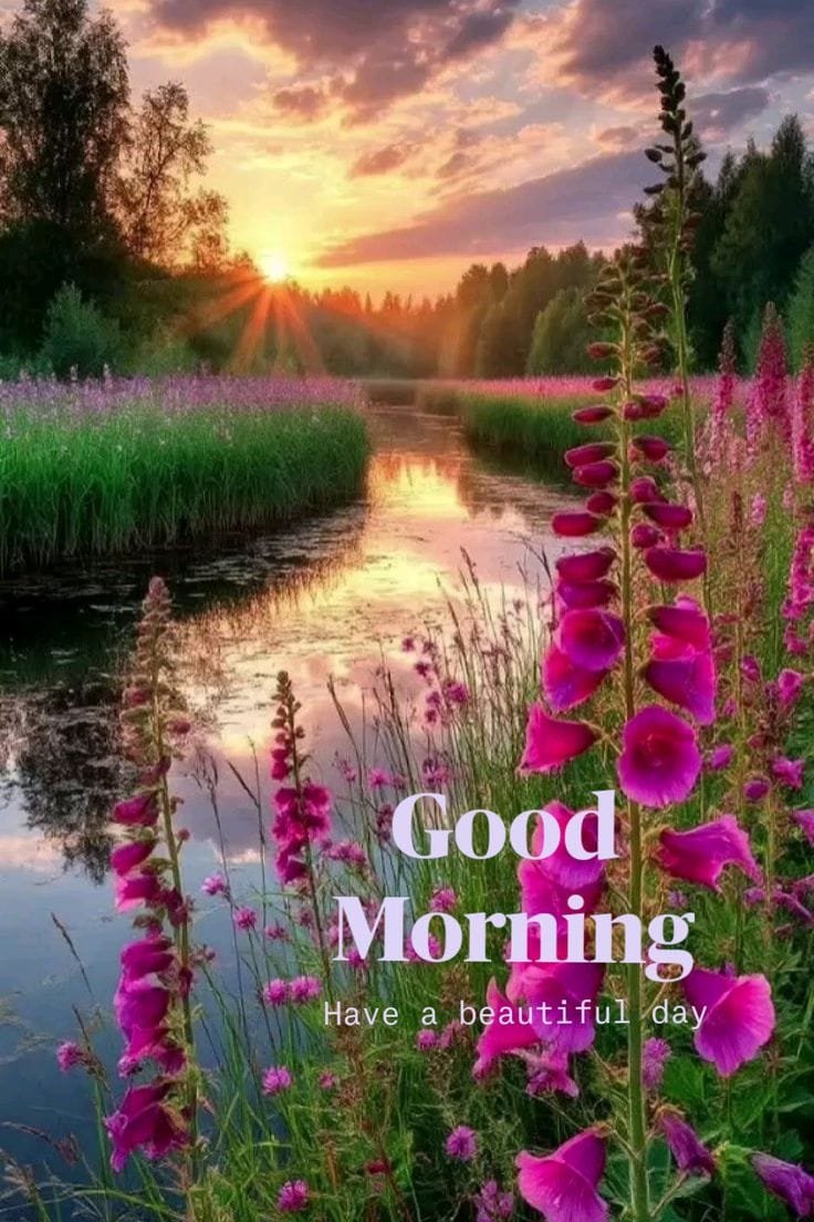 Good morning wishes images (30)