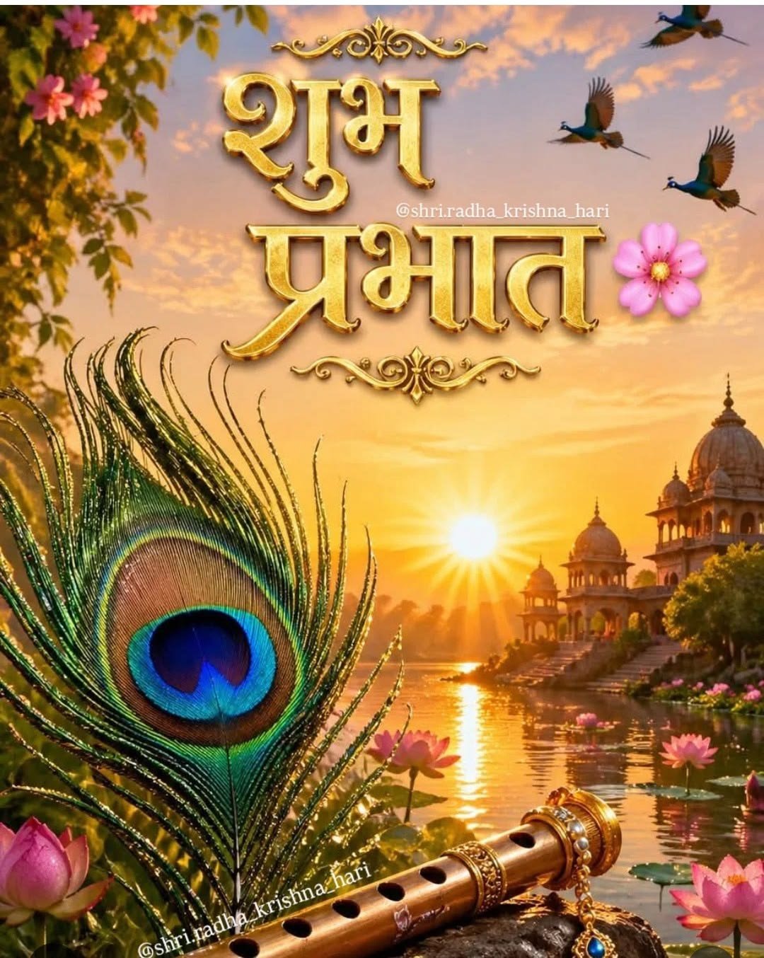 Good morning wishes in hindi (19)