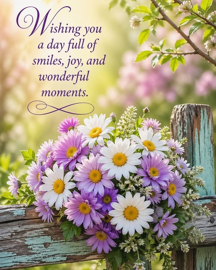 Good morning wishes photo (1)