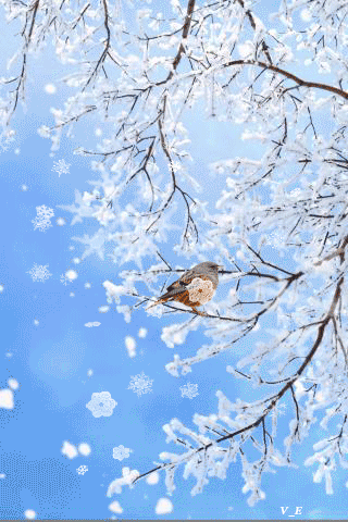 Good Morning Wishes With Beautiful Nature Images Gif