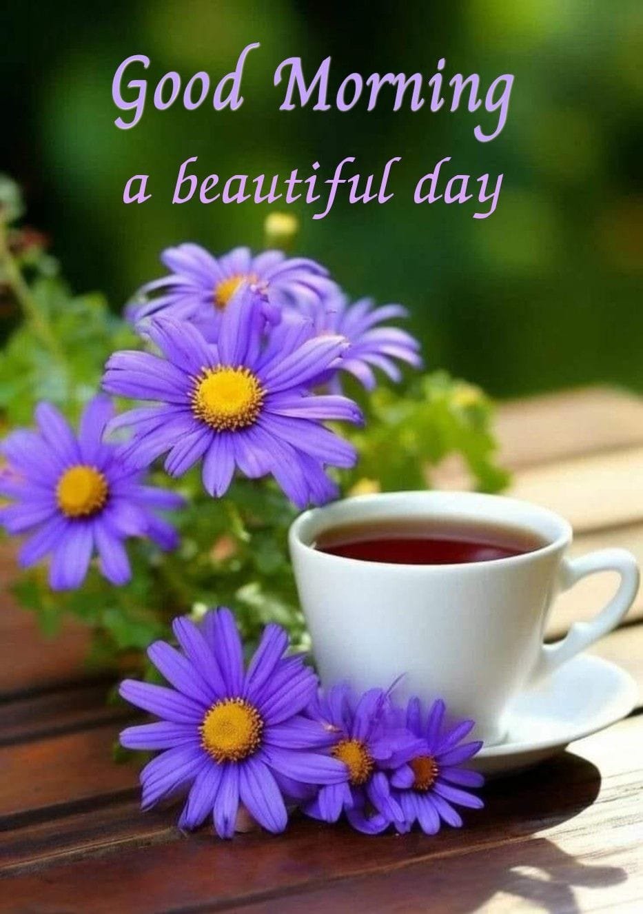 Good morning with beautiful flowers (7)