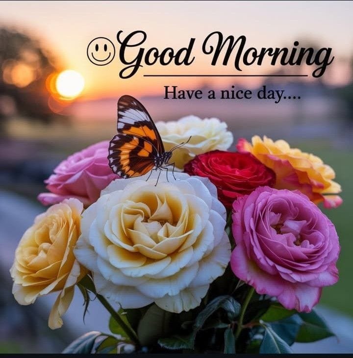 Good morning with beautiful flowers images (15)