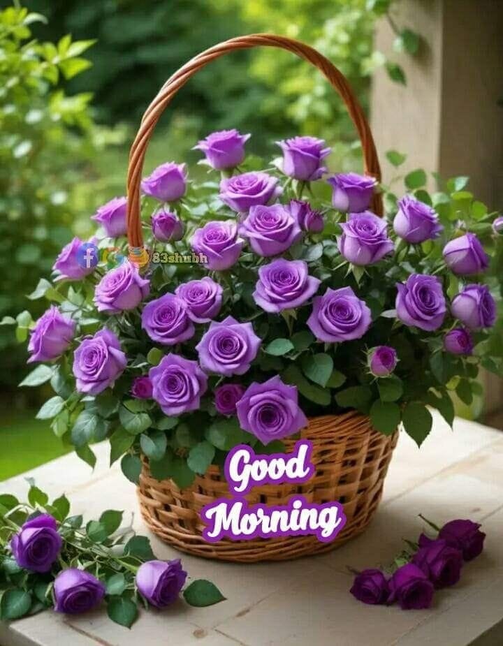 Good morning with beautiful flowers images (7)