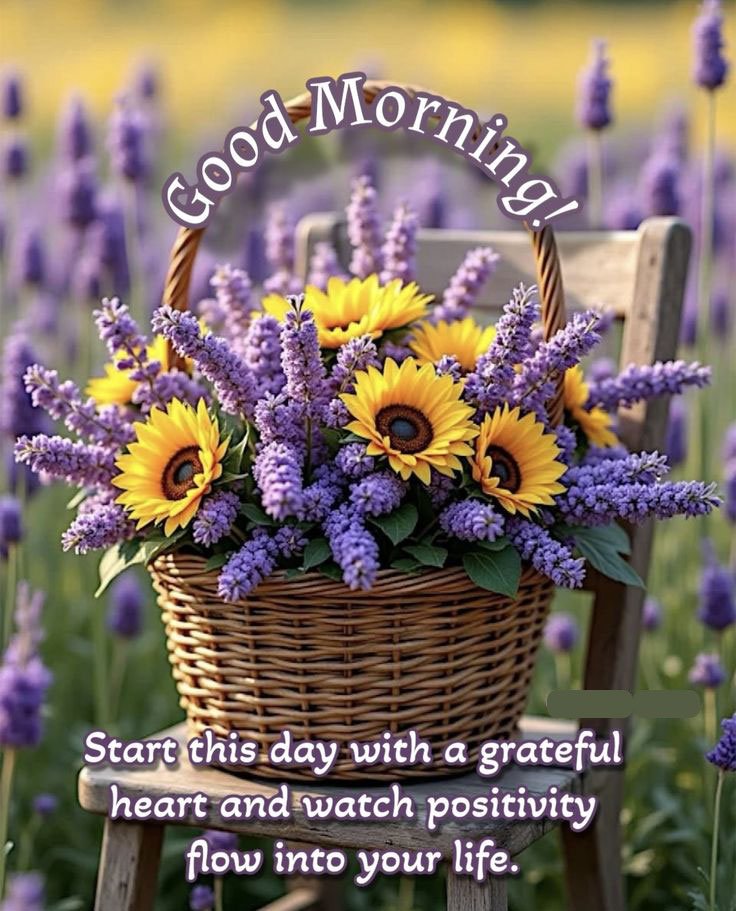 Good morning with nice quotes