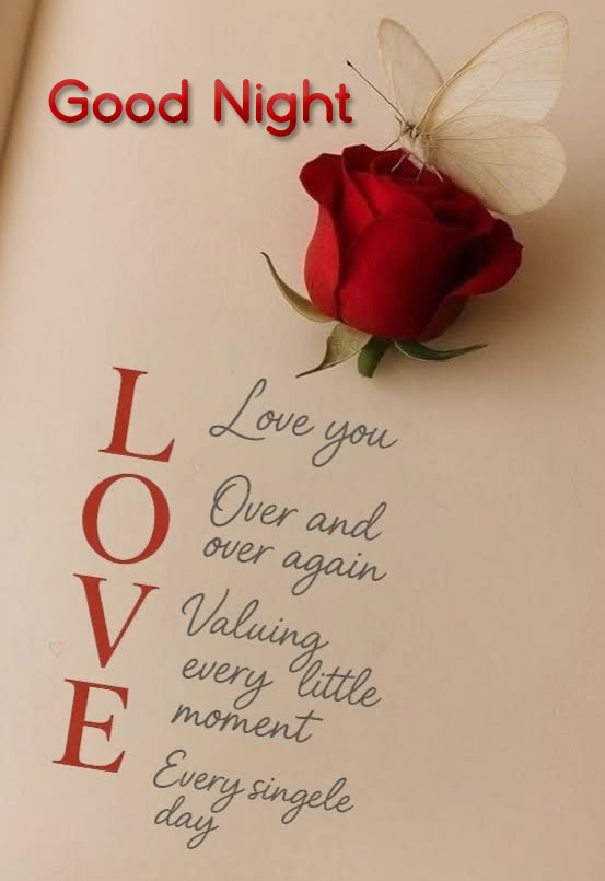 Good night for love image