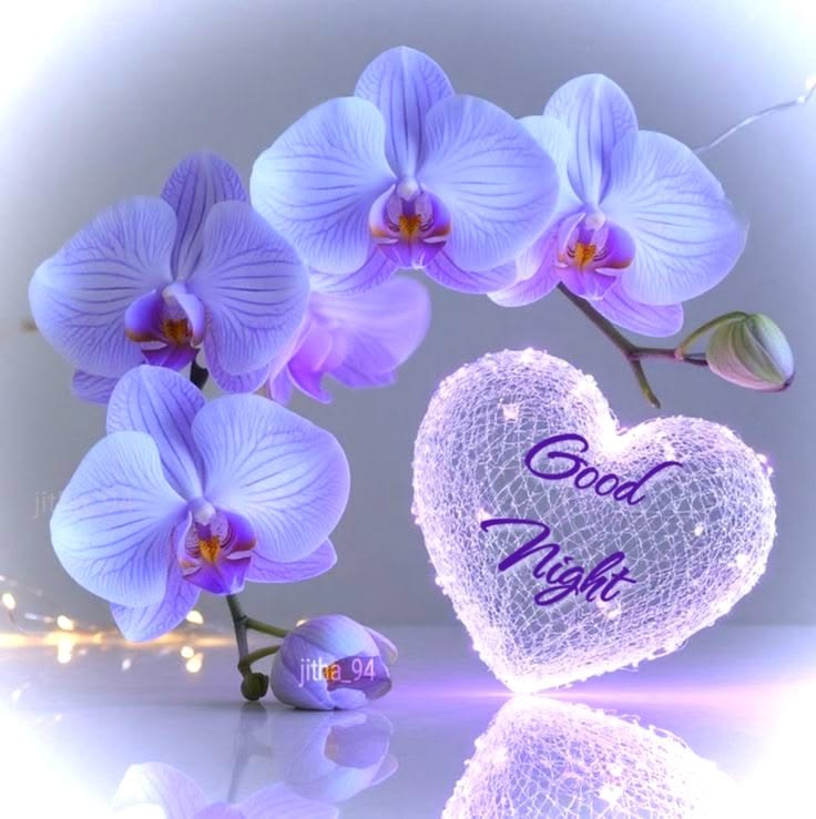 Good night images (12)