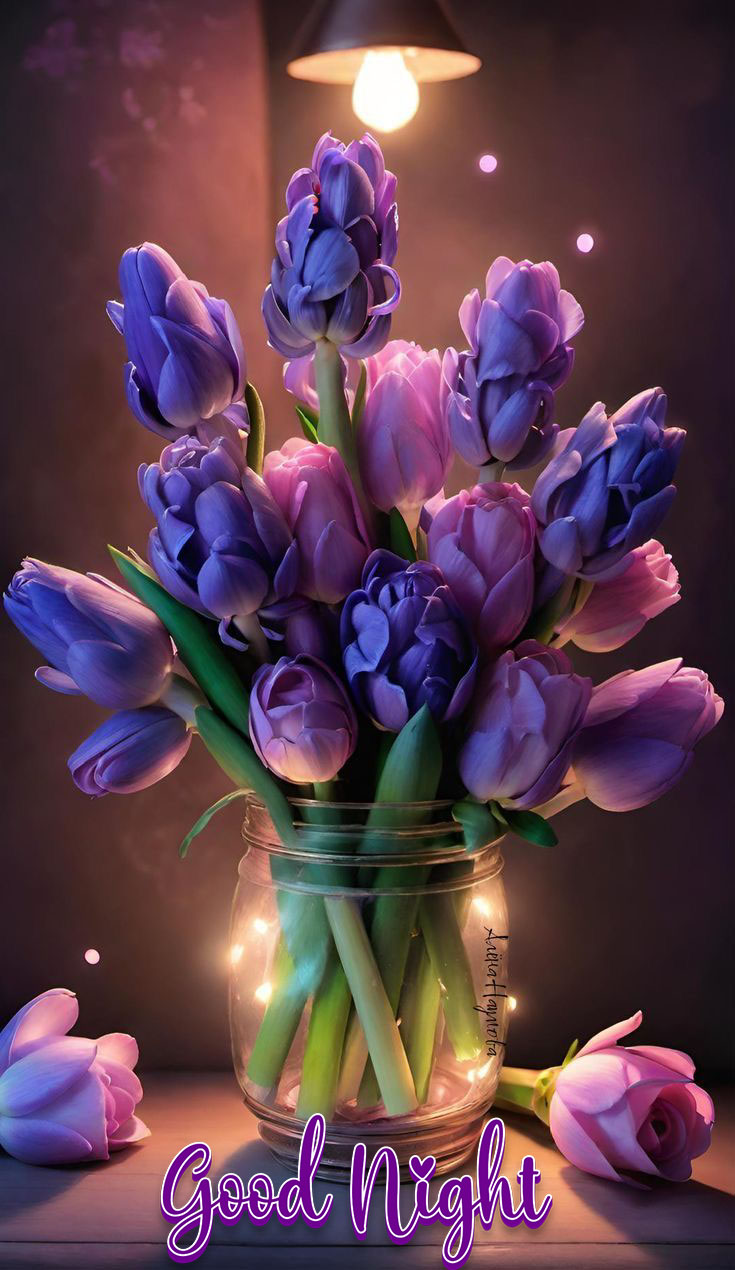 Good night images flowers for whatsapp