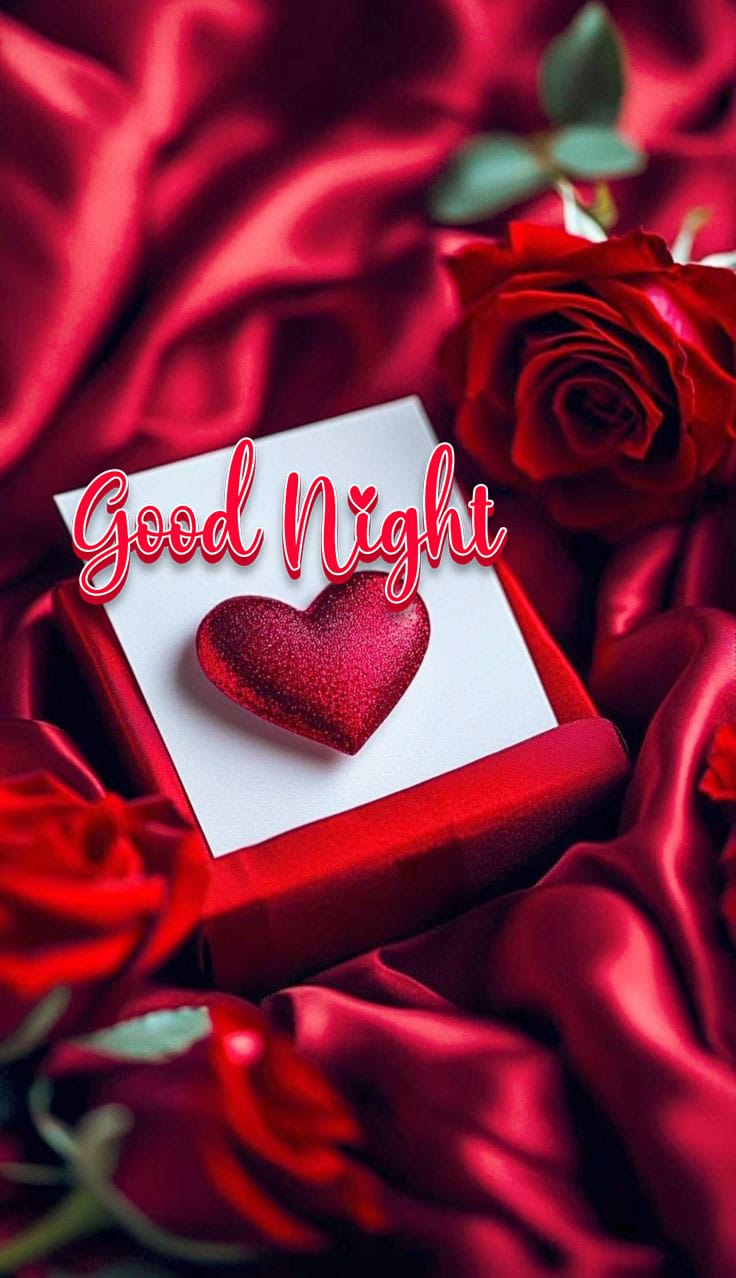 Good night images flowers rose 2