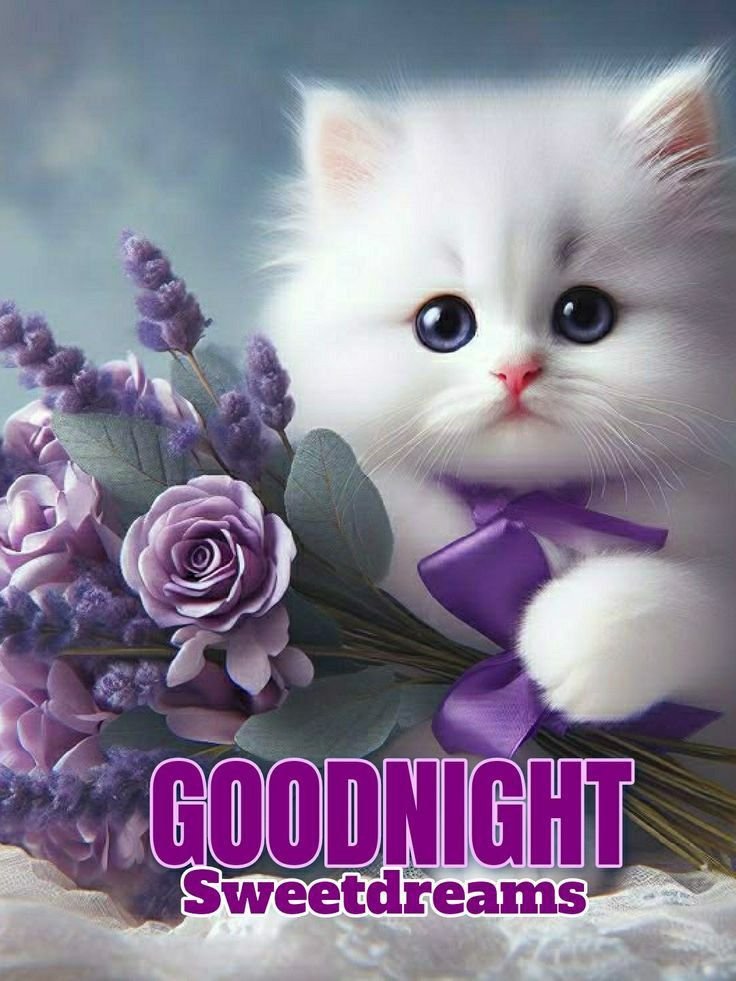 Good night images for girlfriend (14)