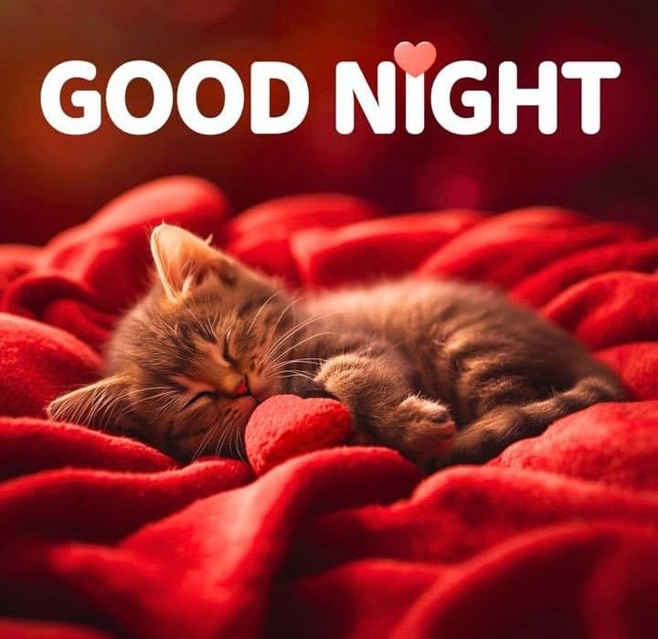 Good night images new (29)