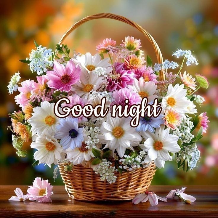 Good night images new (5)