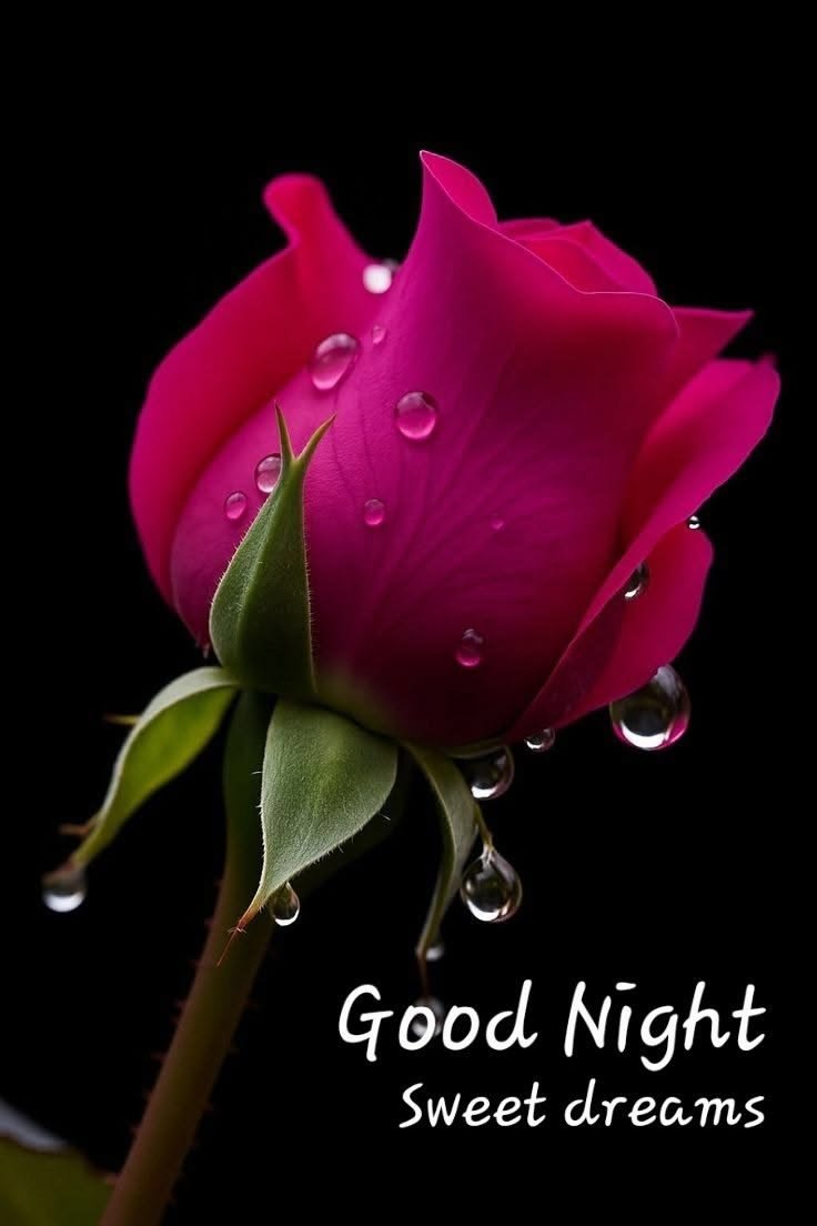 Good night love you pic