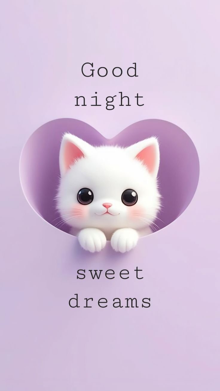 Good night new photo (13)