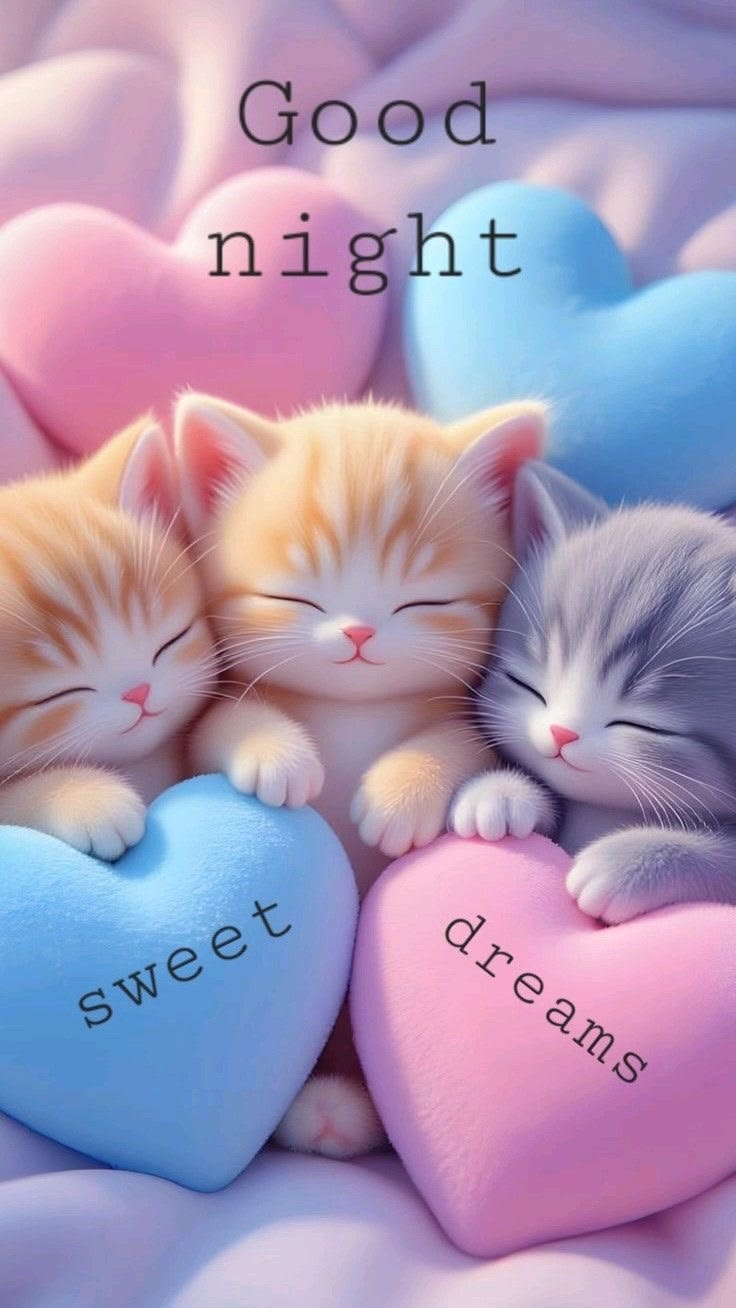 Good night new photo (9)