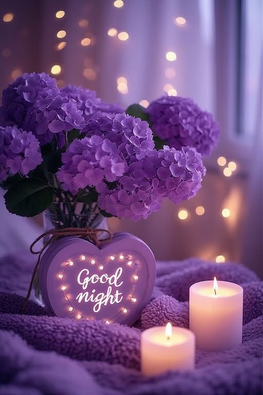 Good night sweet dreams images quotes (10)