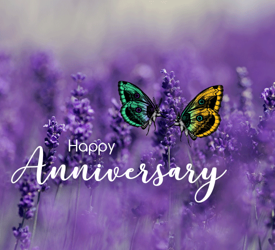 Happy Anniversary Gif Cute