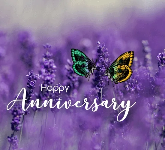 Happy Anniversary Gif Cute