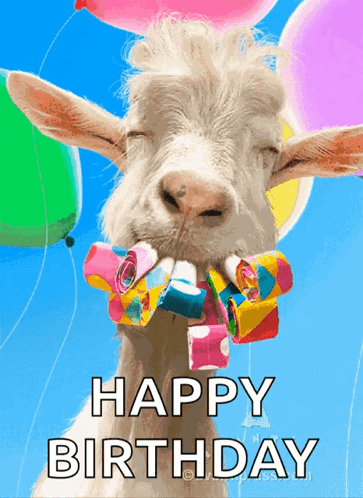 Happy Birthday Gif Funny 5