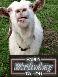 Happy Birthday Hilarious Jokes Gif