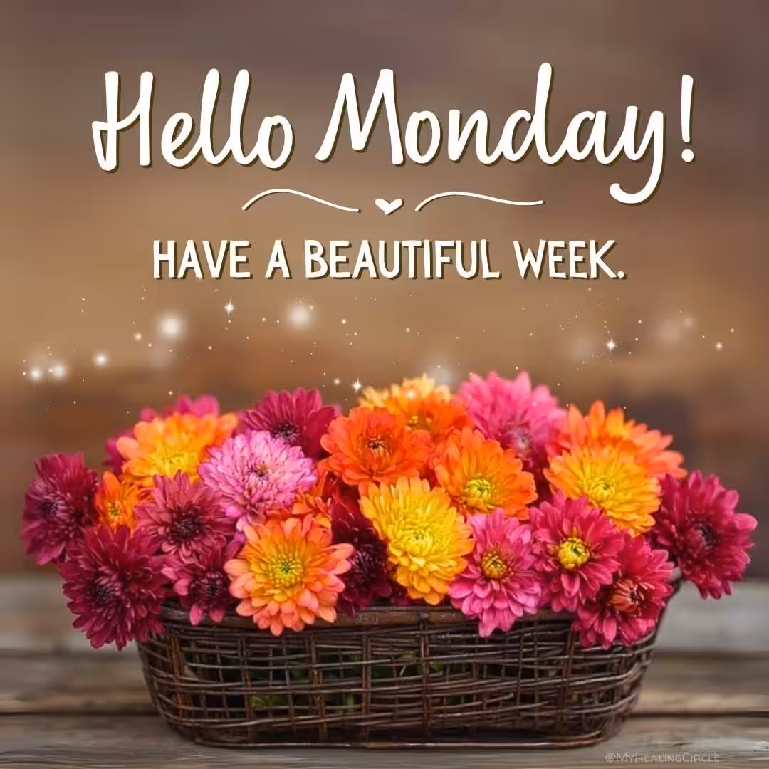 Happy monday (4)