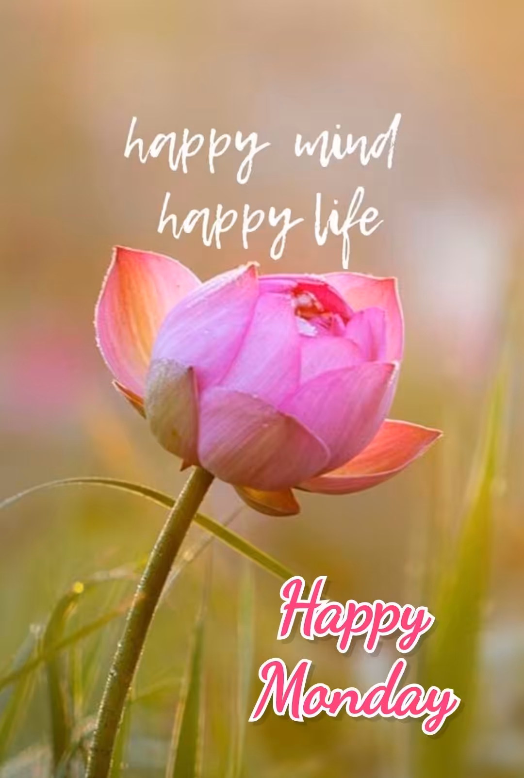 Happy monday good morning quotes