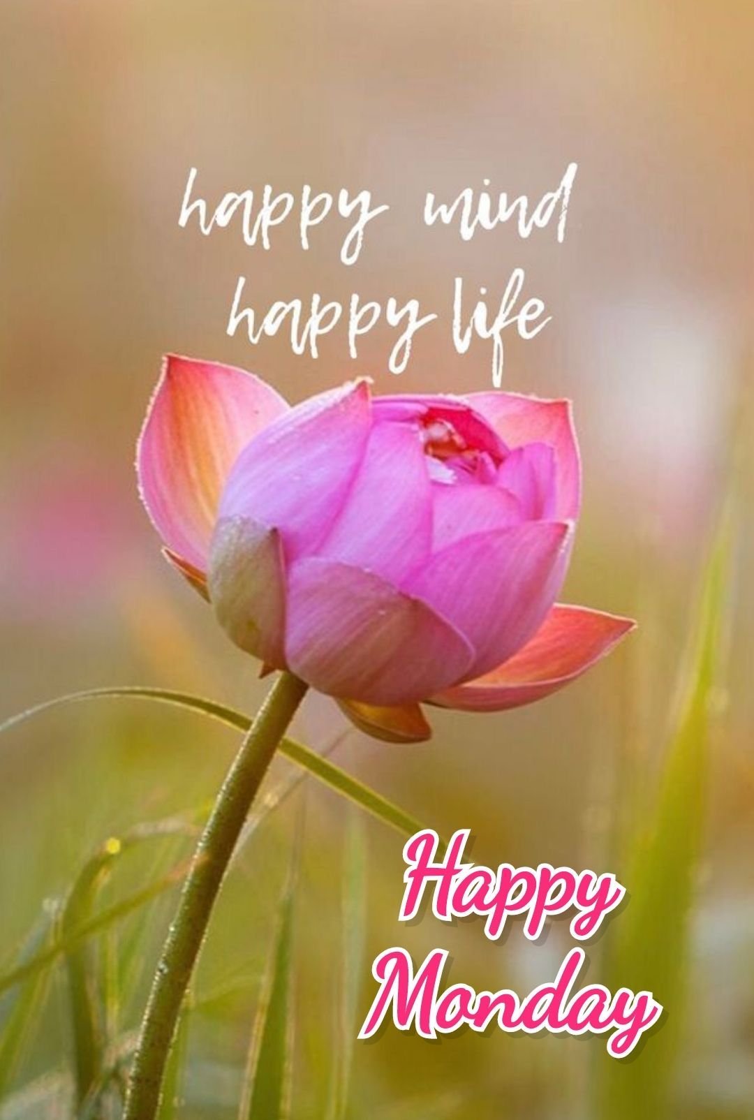 Happy monday good morning quotes