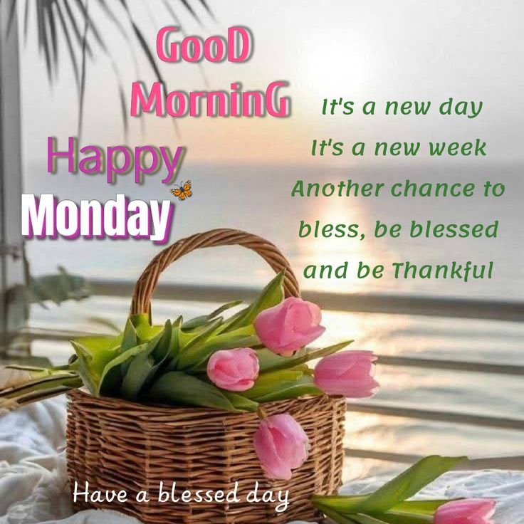 Happy monday quotes (16)