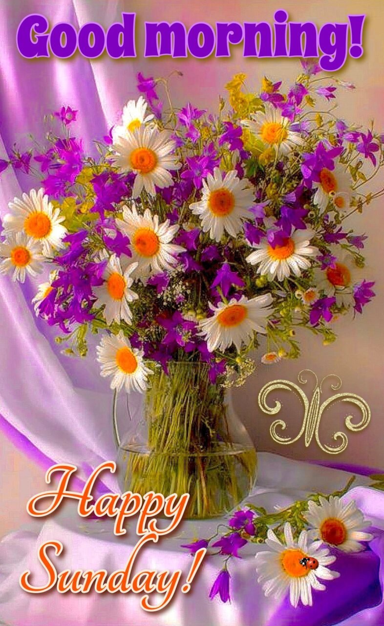 Happy sunday good morning hd images