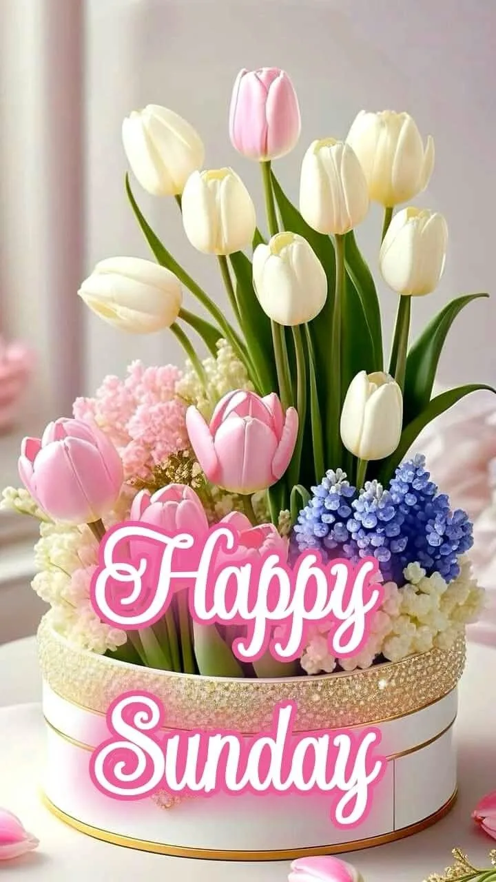 Happy sunday good morning photo (5)